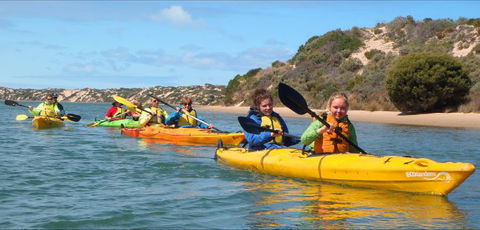 Canoe The Coorong - Northern Rivers Accommodation 0