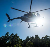 Tall Timbers Adventure Tours - Northern Rivers Accommodation