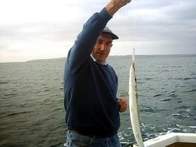Tory M Fishing Charters - Northern Rivers Accommodation 1