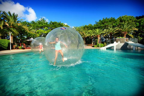 Time Out Adventures - Segway, Laser Clay, Water Balls And More - Northern Rivers Accommodation 3