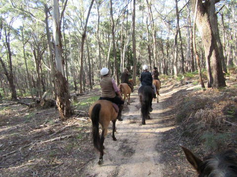 Silver Brumby Trails - Northern Rivers Accommodation 0