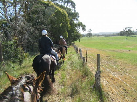 Silver Brumby Trails - Northern Rivers Accommodation 1