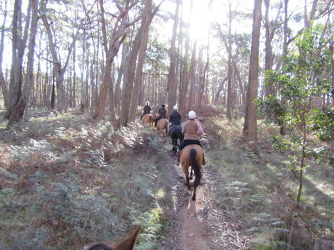 Silver Brumby Trails - Northern Rivers Accommodation 2