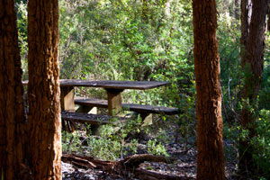 Karrak Reach Forest Retreat - Northern Rivers Accommodation 1
