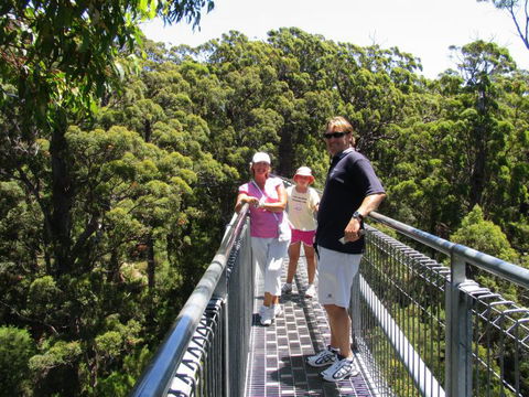 Out Of Sight Tours - Northern Rivers Accommodation 15