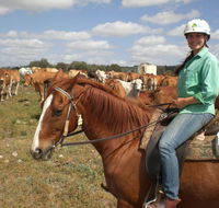Myella Farm Stay Tours - Northern Rivers Accommodation