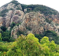 Mount Greville Track - Northern Rivers Accommodation