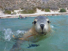 Calypso Star Charters - Northern Rivers Accommodation 0
