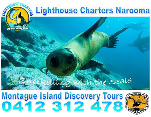 Lighthouse Charters Narooma - Northern Rivers Accommodation 11