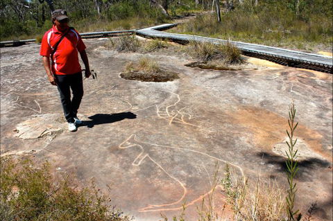 Bara Barang Aboriginal Tours - Northern Rivers Accommodation 6
