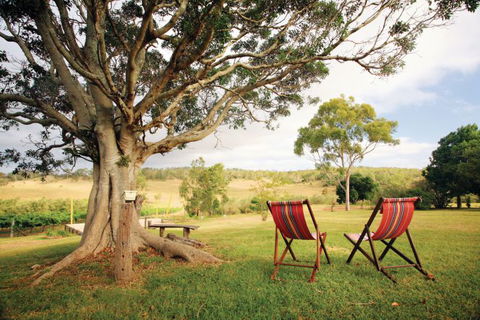 Northern Food Trail - Northern Rivers Accommodation 0