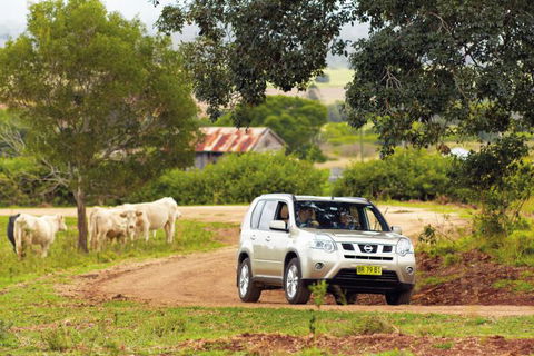 Northern Food Trail - Northern Rivers Accommodation 1