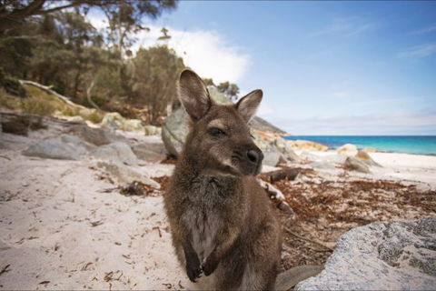 Nullarbor Traveller - Northern Rivers Accommodation 28