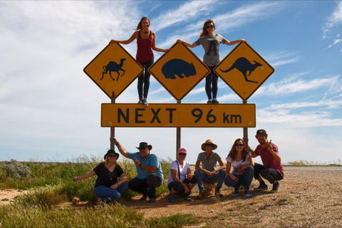 Nullarbor Traveller - Northern Rivers Accommodation 31