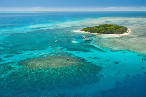 Big Cat Green Island Reef Cruises - Northern Rivers Accommodation 9