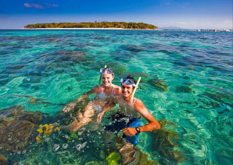 Big Cat Green Island Reef Cruises - Northern Rivers Accommodation 12