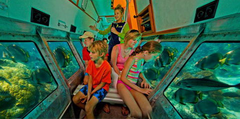 Big Cat Green Island Reef Cruises - Northern Rivers Accommodation 14