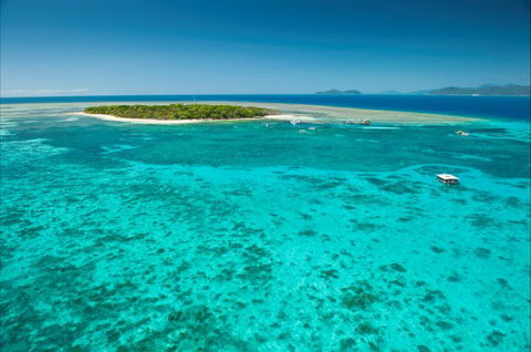 Big Cat Green Island Reef Cruises - Northern Rivers Accommodation 17
