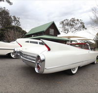 Hunter Valley Cadillacs - Northern Rivers Accommodation