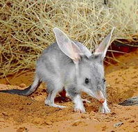 Stars Parks and Legends Drive - Northern Rivers Accommodation