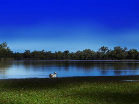 Stars, Parks And Legends Drive - Northern Rivers Accommodation 2