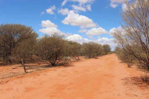 Stars, Parks And Legends Drive - Northern Rivers Accommodation 9