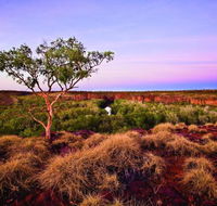 Island Stack Boodjamulla Lawn Hill National Park - Northern Rivers Accommodation