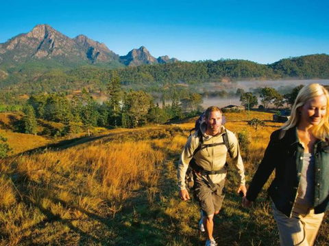 Lower Portals Track, Mount Barney - Northern Rivers Accommodation 0