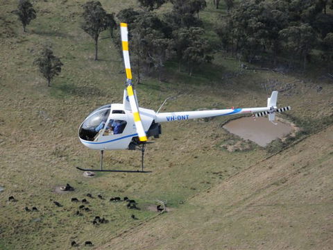 Fleet Adventures - Northern Rivers Accommodation 19