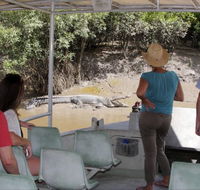 Whitsunday Crocodile Safari - Northern Rivers Accommodation