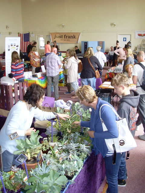 Health Harmony And Happiness Festival - Northern Rivers Accommodation 0