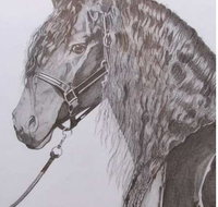 Great Lakes Art Society - Northern Rivers Accommodation