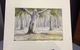 Bundaberg Arts Festival Association Inc - thumb 3