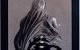 Forsight Gallery - thumb 0