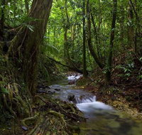 Trek North - Northern Rivers Accommodation