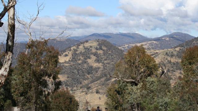 Paddys River NSW Northern Rivers Accommodation