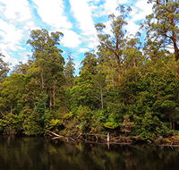 A R Reflections River Cruises - Northern Rivers Accommodation