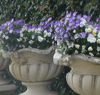 Gardenalia Open Garden and Rare Plant Nursery - Northern Rivers Accommodation