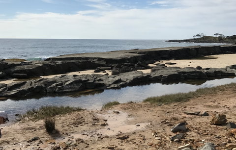 Yamba Tours And Charters - Northern Rivers Accommodation 0