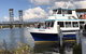 Yamba Tours And Charters - thumb 4