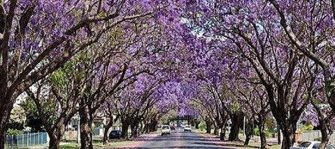 Yamba Tours And Charters - Northern Rivers Accommodation 6