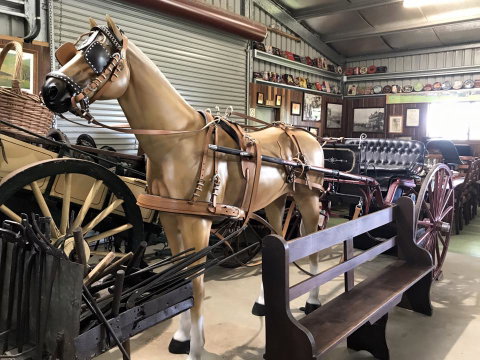 Yamba Tours And Charters - Northern Rivers Accommodation 9