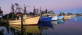 Yamba Tours And Charters - Northern Rivers Accommodation 14