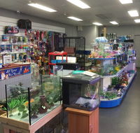 Nambour Pet Shop - Northern Rivers Accommodation
