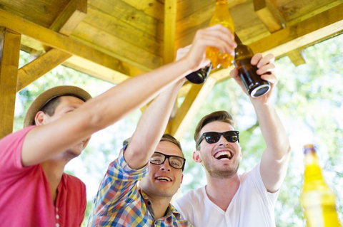 Airlie Beach Party Bus - Northern Rivers Accommodation 1