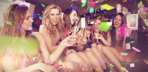 Airlie Beach Party Bus - Northern Rivers Accommodation 2