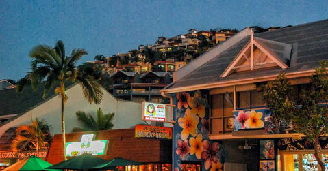 Airlie Beach Party Bus - Northern Rivers Accommodation 3