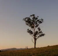 Faulls Ridge Winery - Northern Rivers Accommodation