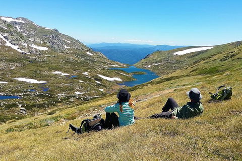 Multi-Day Snowy Mountains And Sapphire Coast From Canberra - Northern Rivers Accommodation 1