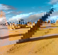 Pinnacles Desert Koalas and Sandboarding 4WD Day Tour from Perth - Northern Rivers Accommodation